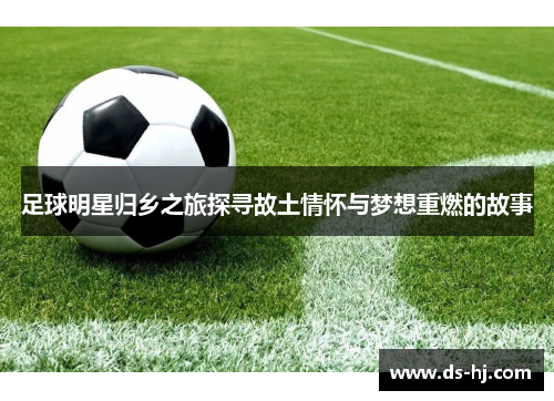 足球明星归乡之旅探寻故土情怀与梦想重燃的故事
